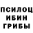 Псилоцибиновые грибы мицелий Mohammad Buraie